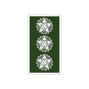 Divisa Emborrachada Coronel