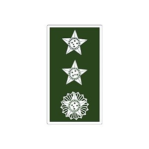 Divisa Emborrachada Major