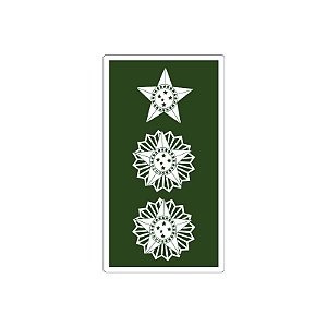 Divisa Emborrachada Tenen. Coronel