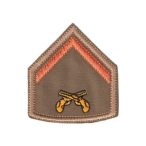 Divisa Bordada 1ª Classe PMSC