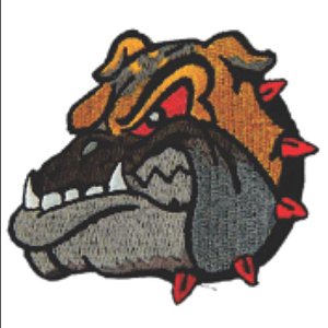 Patch Bordado Cão Feroz com Fecho de Contato