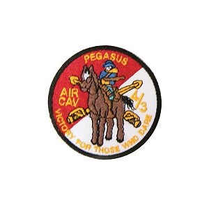 Bordado Termocolante Pegasus