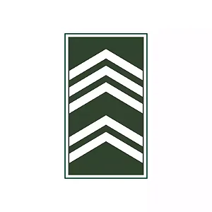 Divisa Emborrachada 1° Sargento