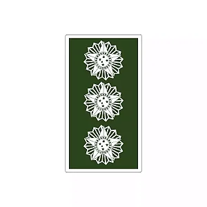 Divisa Emborrachada Coronel