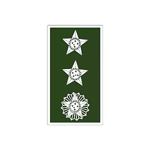 Divisa Emborrachada Major