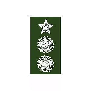 Divisa Emborrachada Tenen. Coronel
