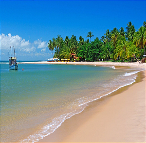 Transfer Ilhéus x Barra Grande