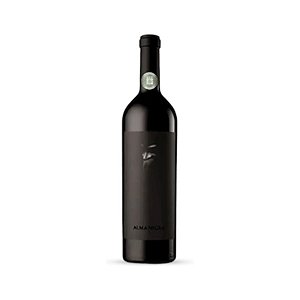 Vinho Alma Negra Tinto Seco 750ml