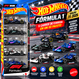 Kit 5 Carrinhos Hot Wheels Original Mattel 1:64 Sortidos