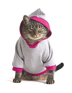 Moletom Cinza e Rosa | Roupa Para Gatos