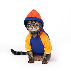 Moletom Azul e amarelo