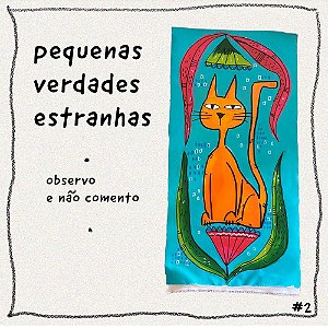Pequenas Verdades Estranhas -observo e não comento