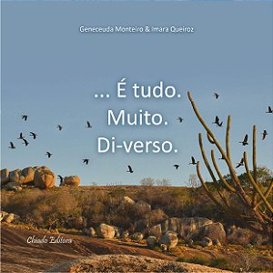 Livro É tudo. Muito. Di-verso Capa comum
