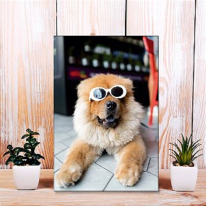 Quadro Decorativo - Chow-chow descolado