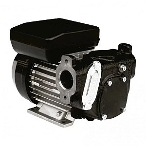 Bomba de Transferência Elétrica 220V 56LPM