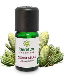 Óleo Essencial Puro 10ml -  Cedro Atlas