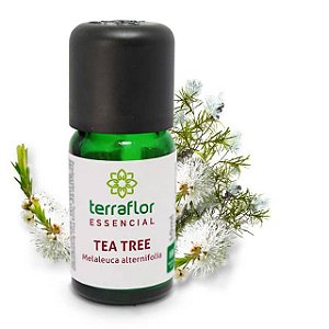 Óleo Essencial Puro 10ml - Tea Tree