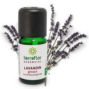 Óleo Essencial Puro Lavandin Grosso -10ml