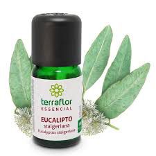 Óleo Essencial Puro 10ml - Eucalipto Staigeriana