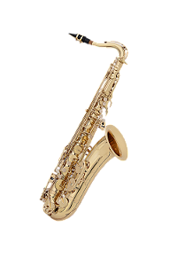 Saxofone Tenor WINDORF WTS-E100G