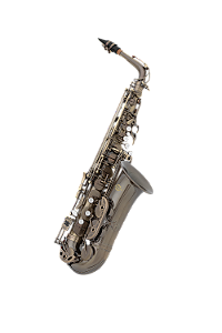 SAXOFONE ALTO WINDORF - VINTAGE COM SOFT CASE - WAS-200AG