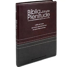 Bíblia de Estudo Plenitude RC - Bordô e Chumbo