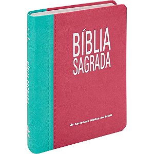 Bíblia RA - Letra Gigante - Rosa e Turquesa