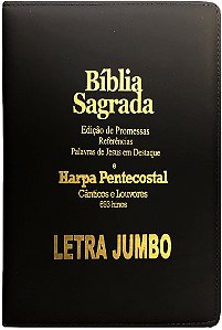 Bíblia Edição de Promessas Letra Jumbo Com Zíper