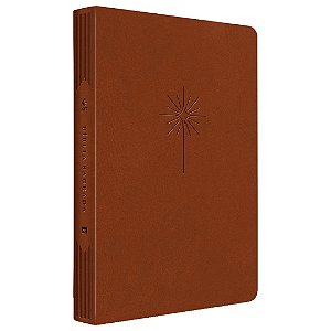Bíblia NVT Slim Filament - Letra Grande - Luxo Marrom - Mundo Cristão