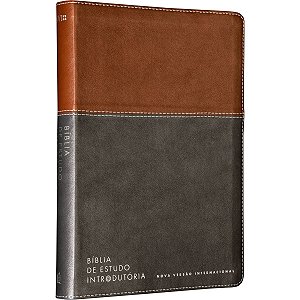 Bíblia de Estudo Introdutória Marrom e Cinza NVI - Capa Luxo - Thomas Nelson