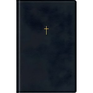 Bíblia NAA Preto - Letra Gigante - Capa Luxo - Vida #LiquidaJaneiro