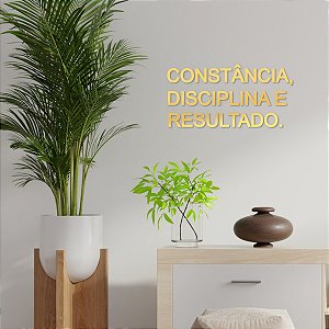 Espelho "CONSTÂNCIA, DISCIPLINA E RESULTADO" - Acr. Dourado