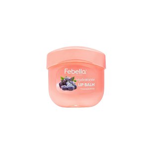 Lip Balm Potinho Hidratante Frutas Blueberry Vaselina Febella