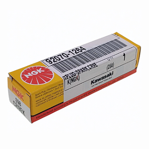 VELA IGNICAO CR9EK NGK - 92070-1264
