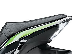 ADESIVO PROTETOR RABETA ESQ TRAS Z900