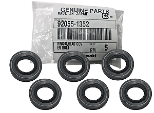KIT ANEL VEDAÇÃO PARAFUSO TAMPA VÁLVULA KAWASAKI NINJA ZX-10R / VULCAN 900 - 92055-1352