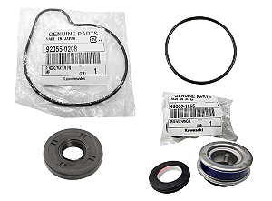 REPARO BOMBA ÁGUA KAWASAKI NINJA ZX-10R