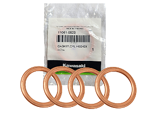 ANEL COLETOR ESCAPE KAWASAKI Z800 - 11061-0823