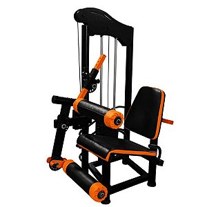 Equipamento Academia Extensora/Flexora Sentada