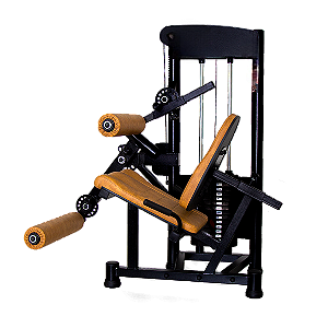 Equipamento Academia Cadeira Extensora e Flexora Conjugada