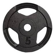 Anilha Ferro Sport F31mm - vendido em pares