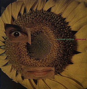 LP Caetano Veloso ‎– Circuladô