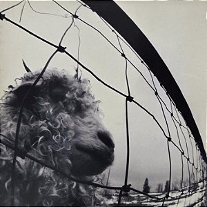LP Pearl Jam – Vs. - 1993 - Raro