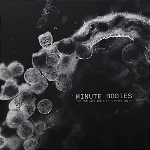 LP Tindersticks With Thomas Belhom And Christine Ott – Minute Bodies - The Intimate World Of F. Percy Smith