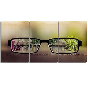 Quadro Óculos de Grau Clean Vision Natureza 28x60