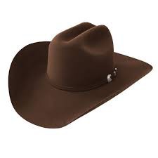 CHAPEU RESISTOL 20X BROWN TARRANT