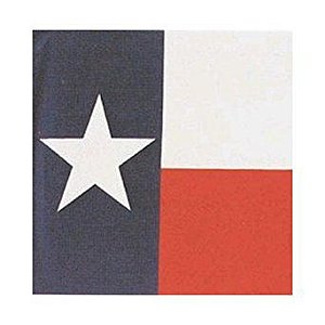 Bandana Bandeira Texas M&F Importada