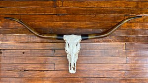 CABEÇA DE LONGHORN RESINA
