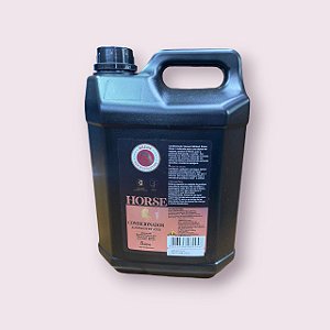 CONDICIONADOR BRENE HORSE ALWAYS HYDRATED  5 L