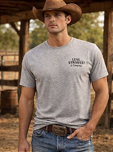 CAMISETA LEVI'S CINZA LB0013306